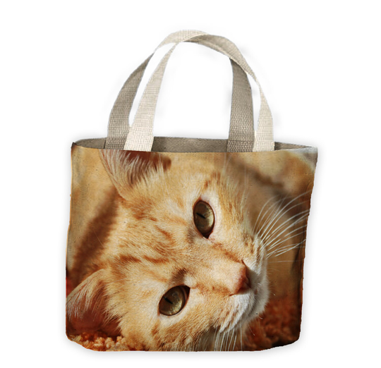 Ginger Cat Lying Down Tote Shopping Bag For Life - Cute Pet Cats