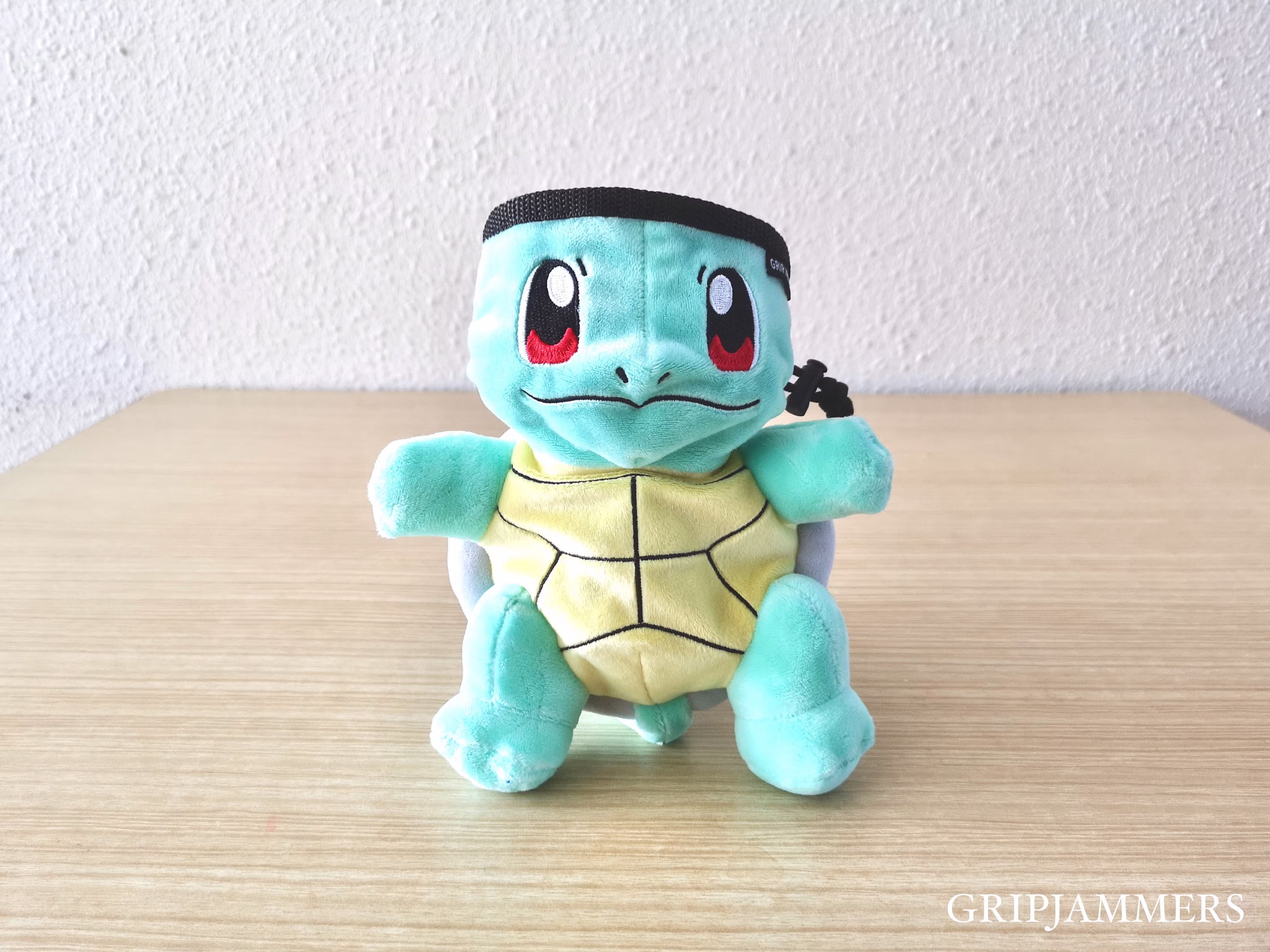 Squirtle Chalk Bag
