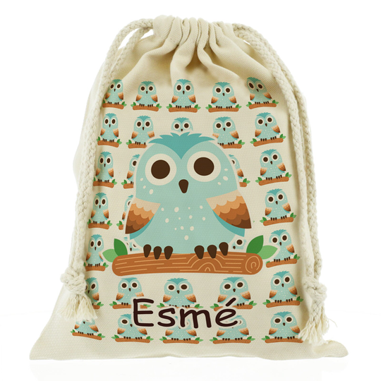 Cute Animal School/storage Bag, Drawstring Gift Bag With Personalised Name Fox, Racoon, Hedgehog, Owl